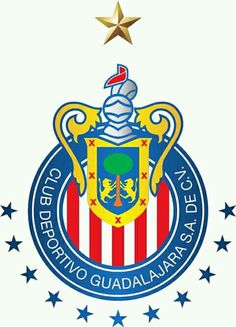 236x327 Chivas Guadalajara 211.jpg Cake Decorating