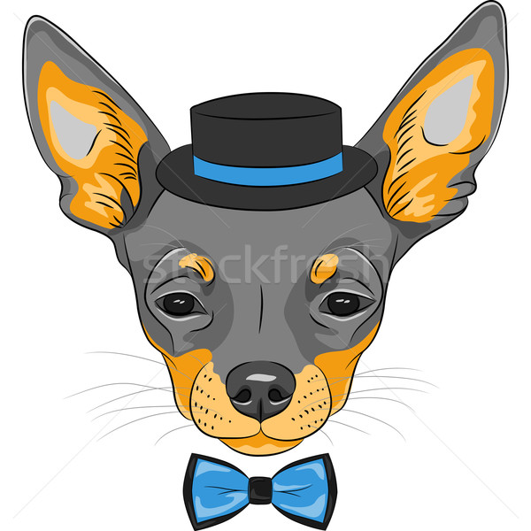 600x600 Chiwawa Stock Vectors, Illustrations And Cliparts Stockfresh