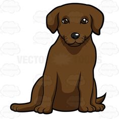 236x236 Chocolate Brown Labrador Puppy Standing With One Paw Up