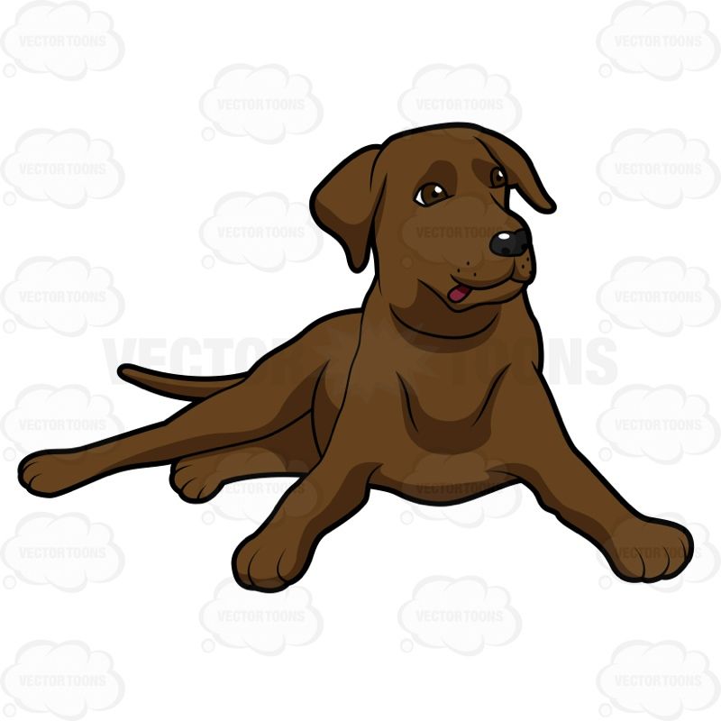 800x800 Labrador Cliparts Free Download Clip Art