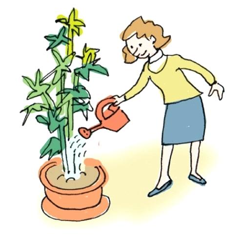 500x500 Water Plant Clipart Household Chores Pictures Clip Art Aquarium