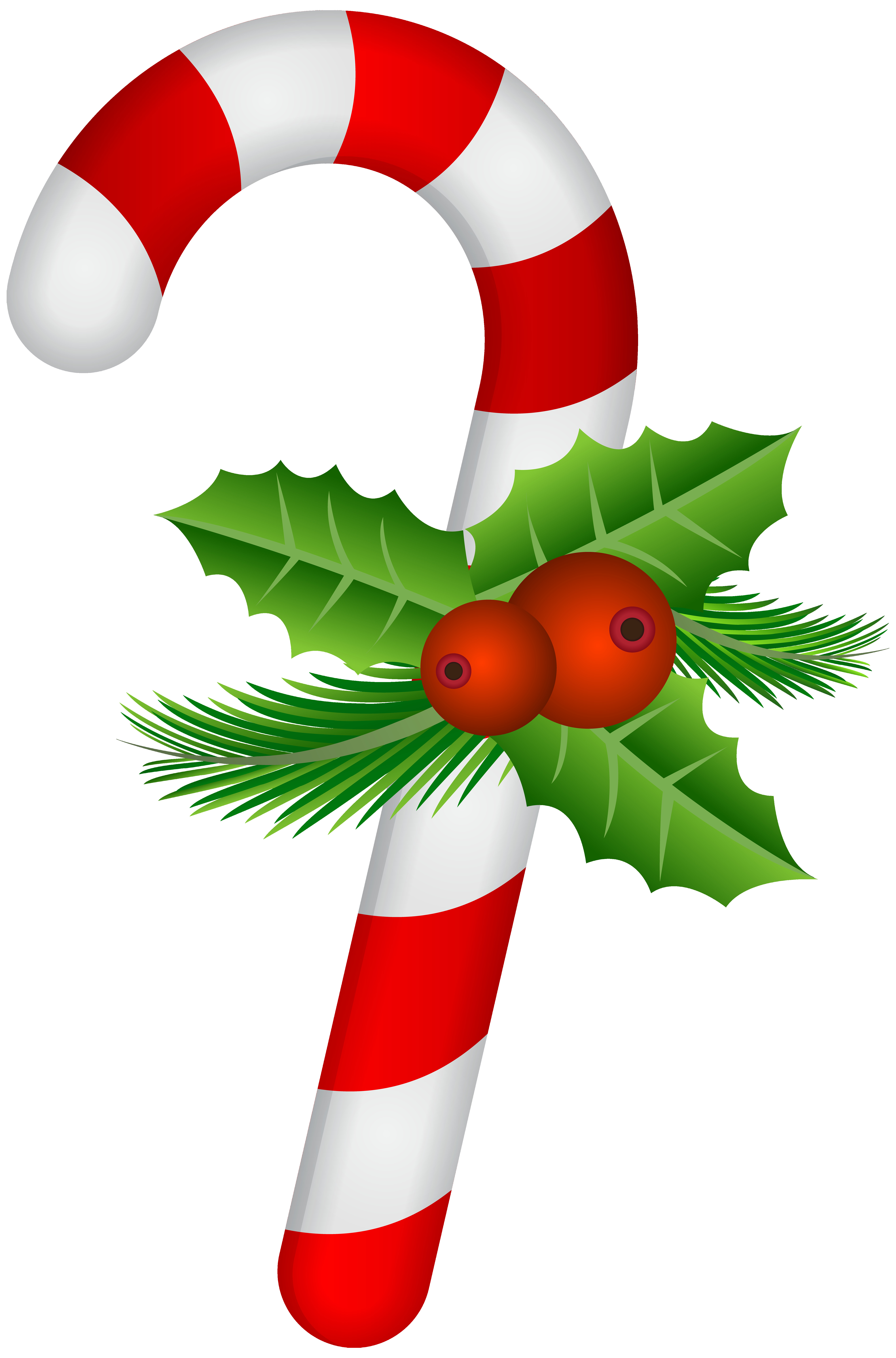 5277x8000 Free Christmas Clip Art Holly Clipart In Thatswhatsup
