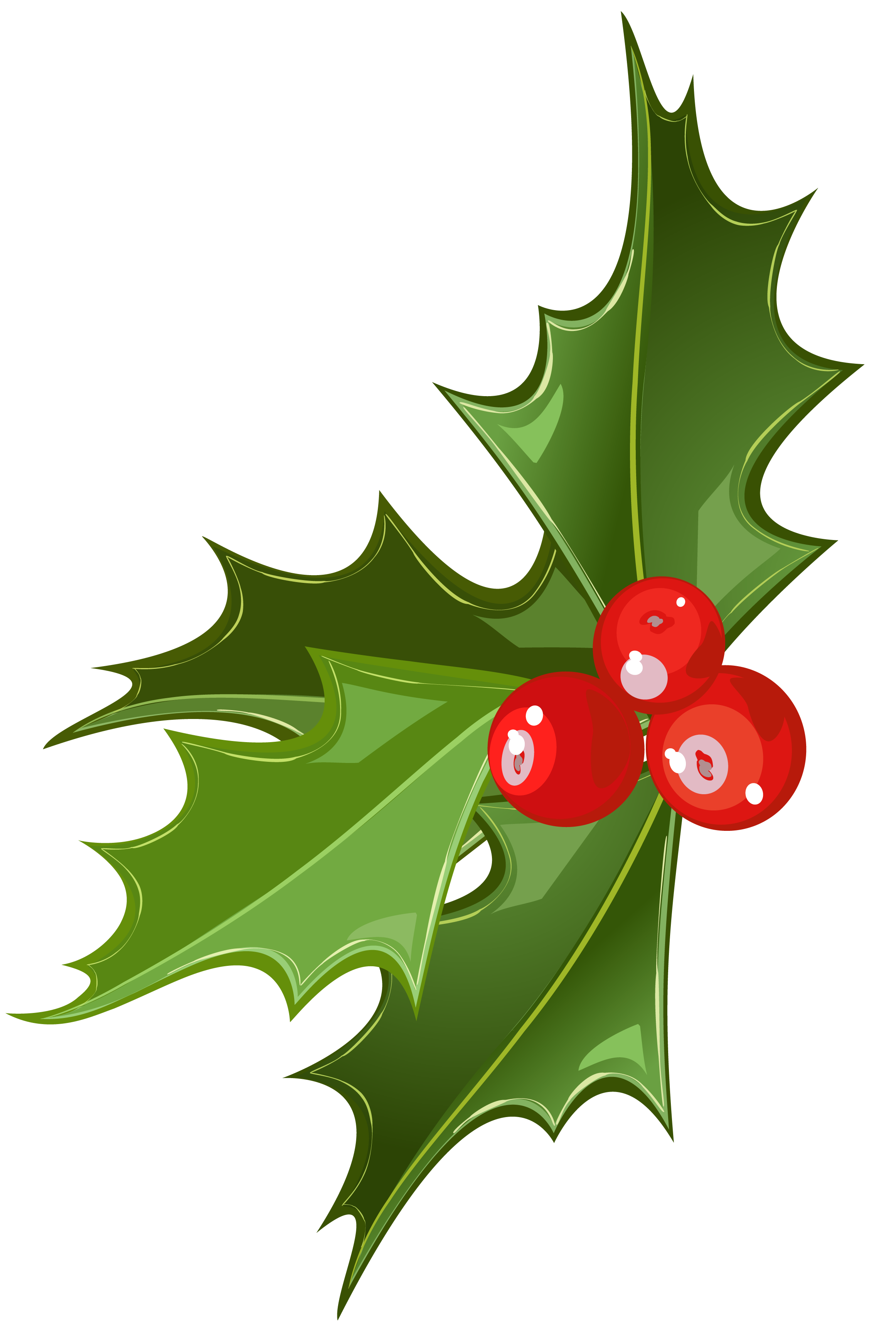 2324x3461 Christmas Mistletoe Pictureu200b Gallery Yopriceville