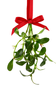 225x360 Free To Share Clipart Mistletoe For Your Project Clipartmonk