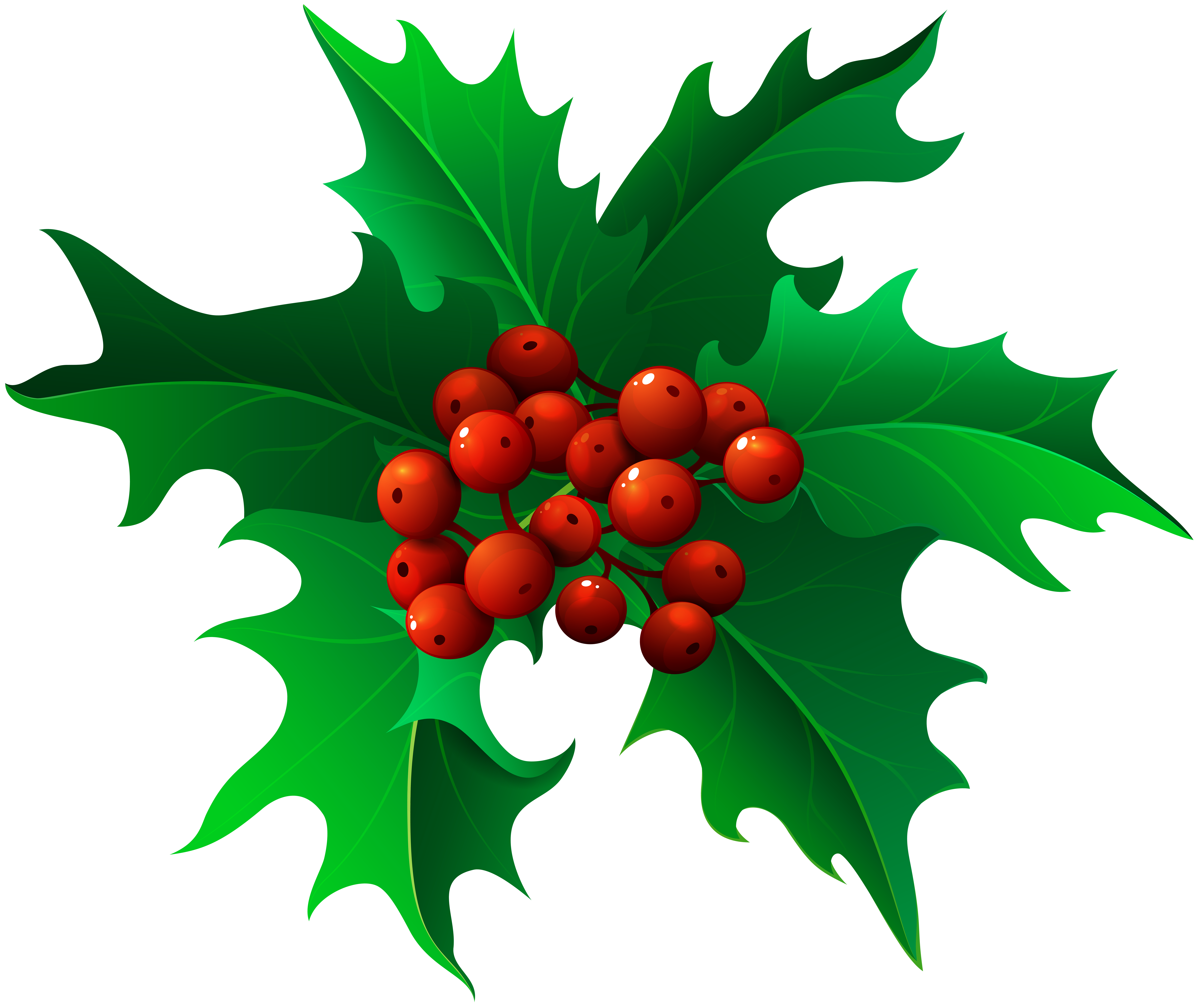 8000x6720 Mistletoe Christmas Clip Art