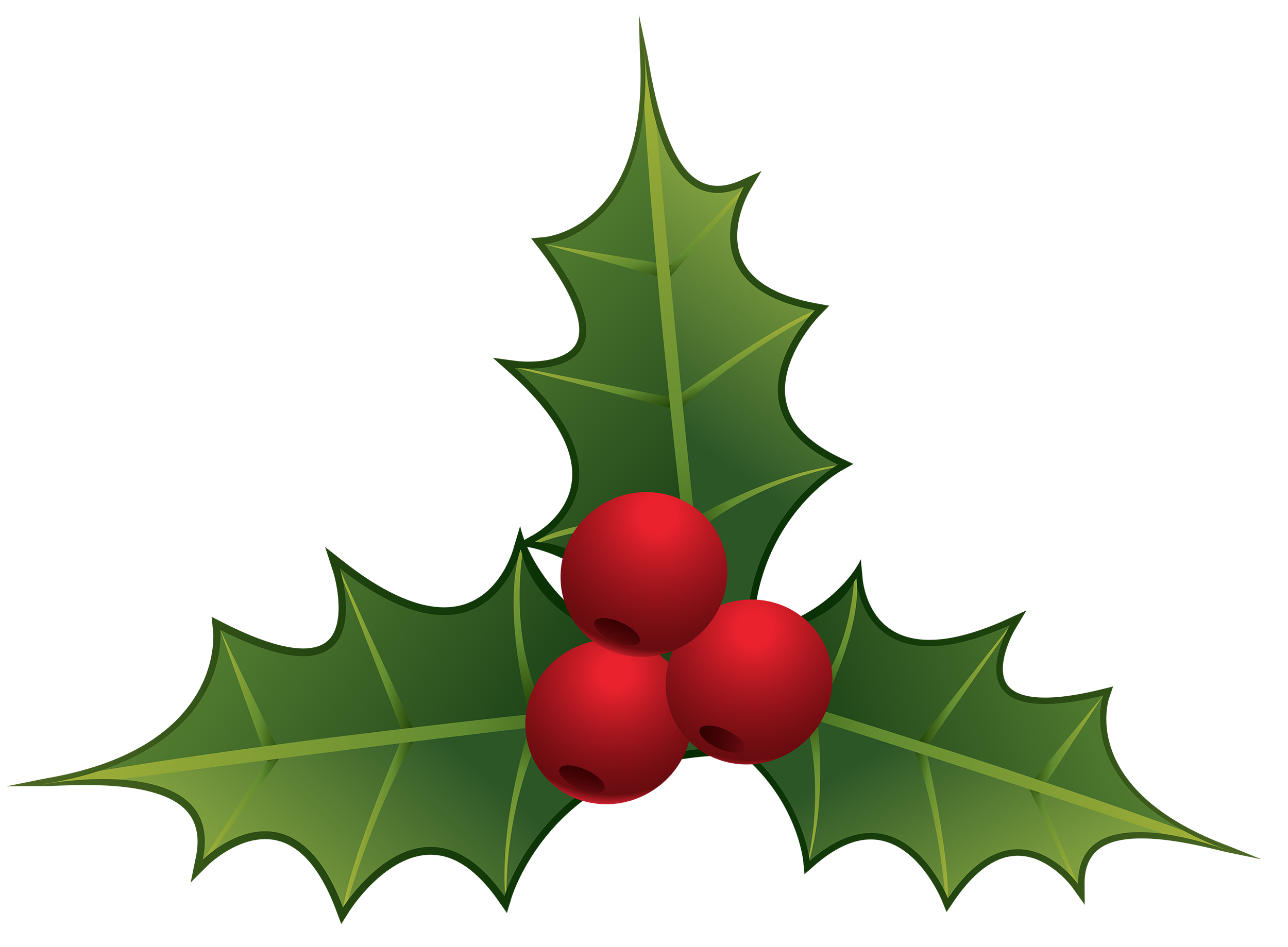 2500x1839 Mistletoe Png Clipart