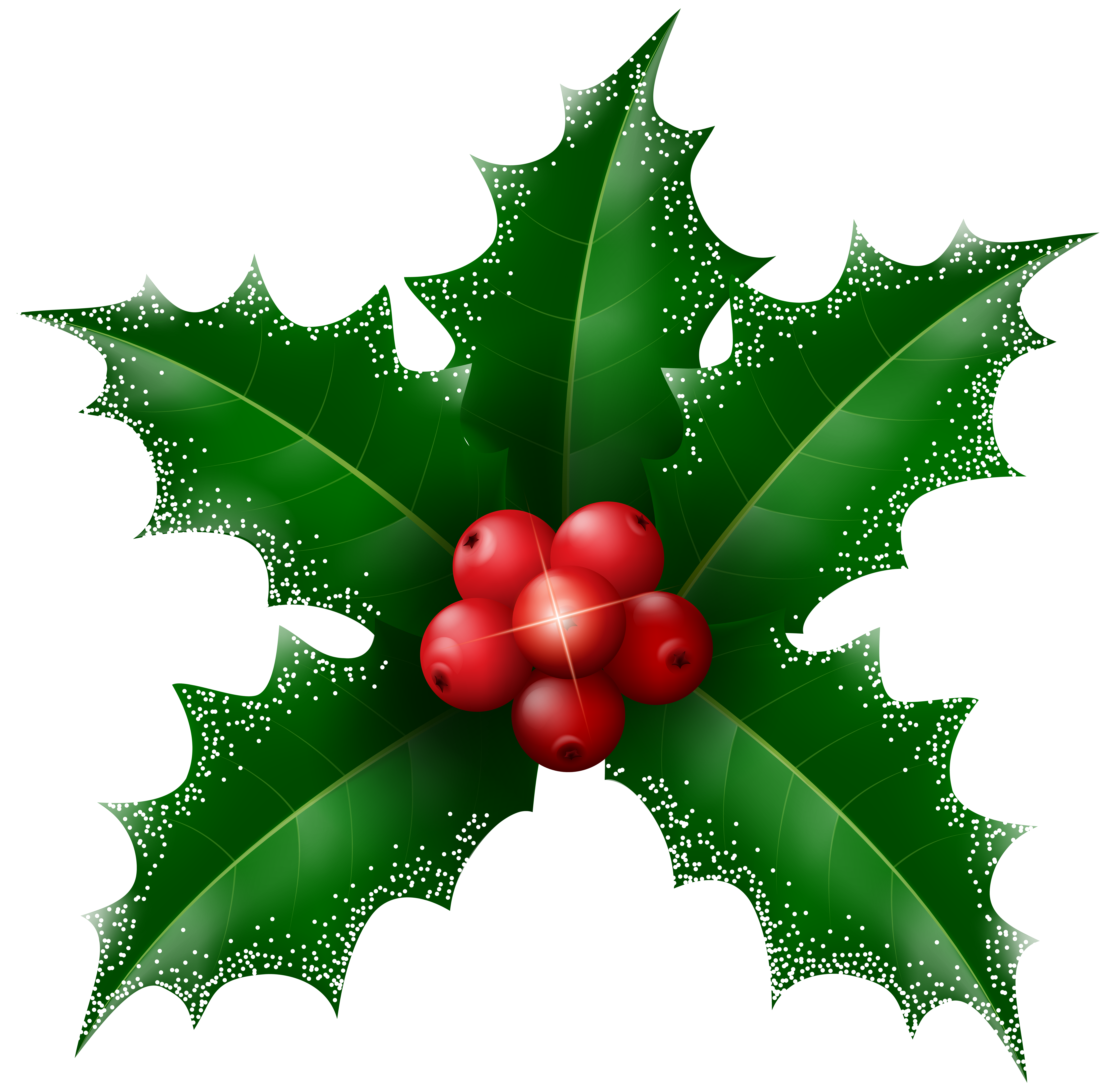 8000x7884 Snowy Holly Mistletoe Transparent Clip Artu200b Gallery Yopriceville