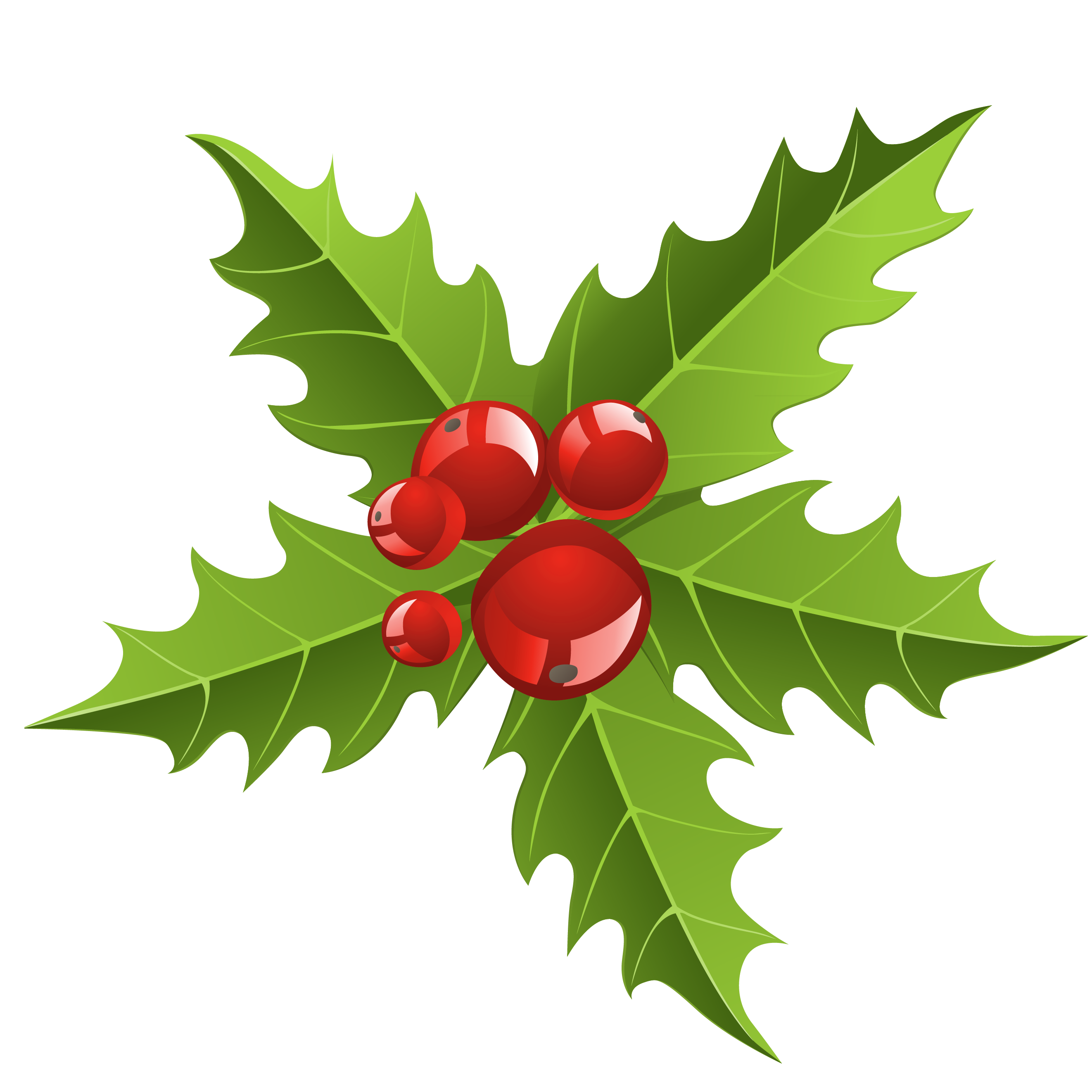 2644x2644 Chrismtmas Mistletoe Element Png Pictureu200b Gallery Yopriceville