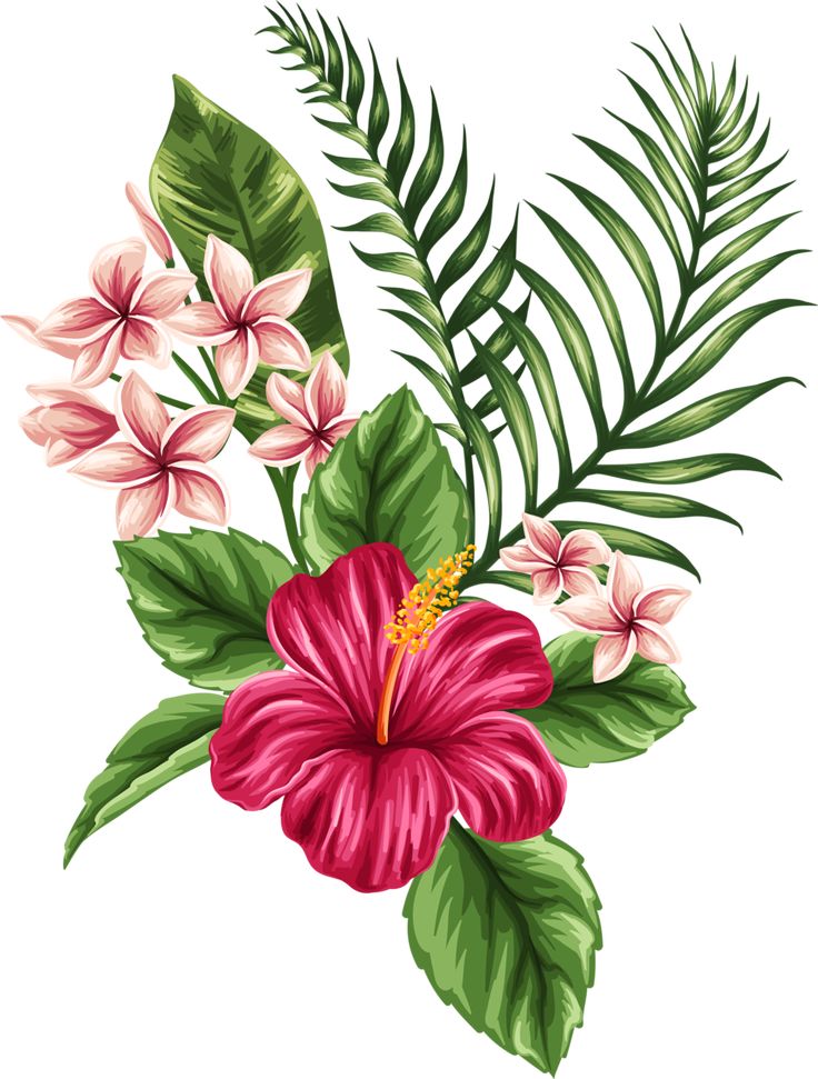 736x971 Hawaiian Flower Christmas Flower Clip Art Merry Christmas