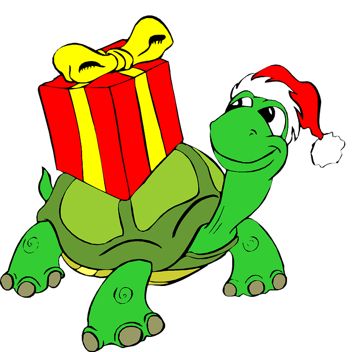722x720 Free Photo Clip Art Present Holiday Tortoise Christmas Gift