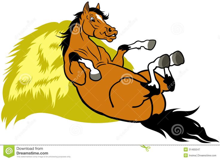 736x538 155 Best My Horse Haven Images On Horse Stalls, Horse