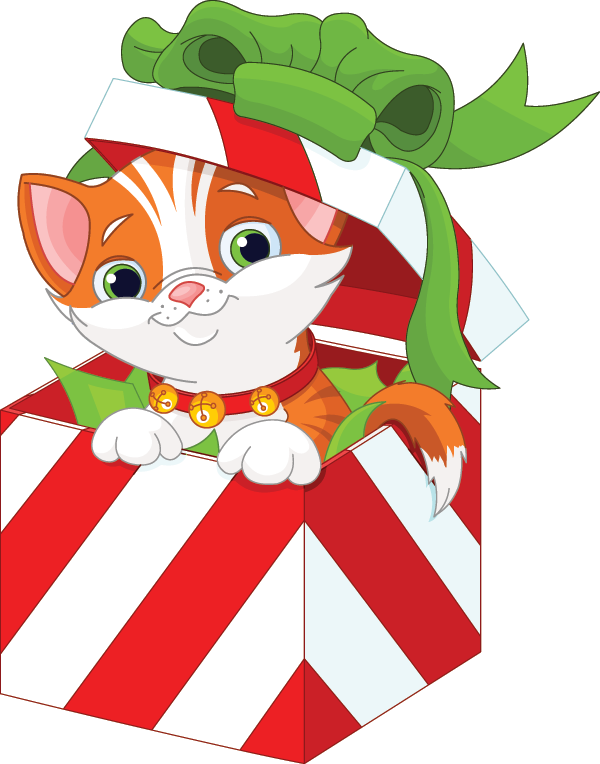 600x764 Kitty Cat Gift Kitten, Cat And Gift