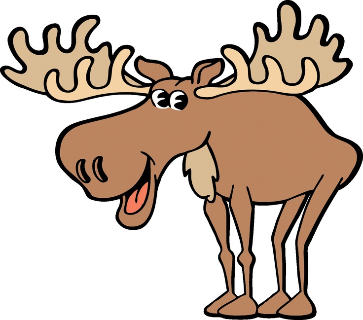 736x649 61 Best Boxes Images On Elk, Forest Animals And Moose