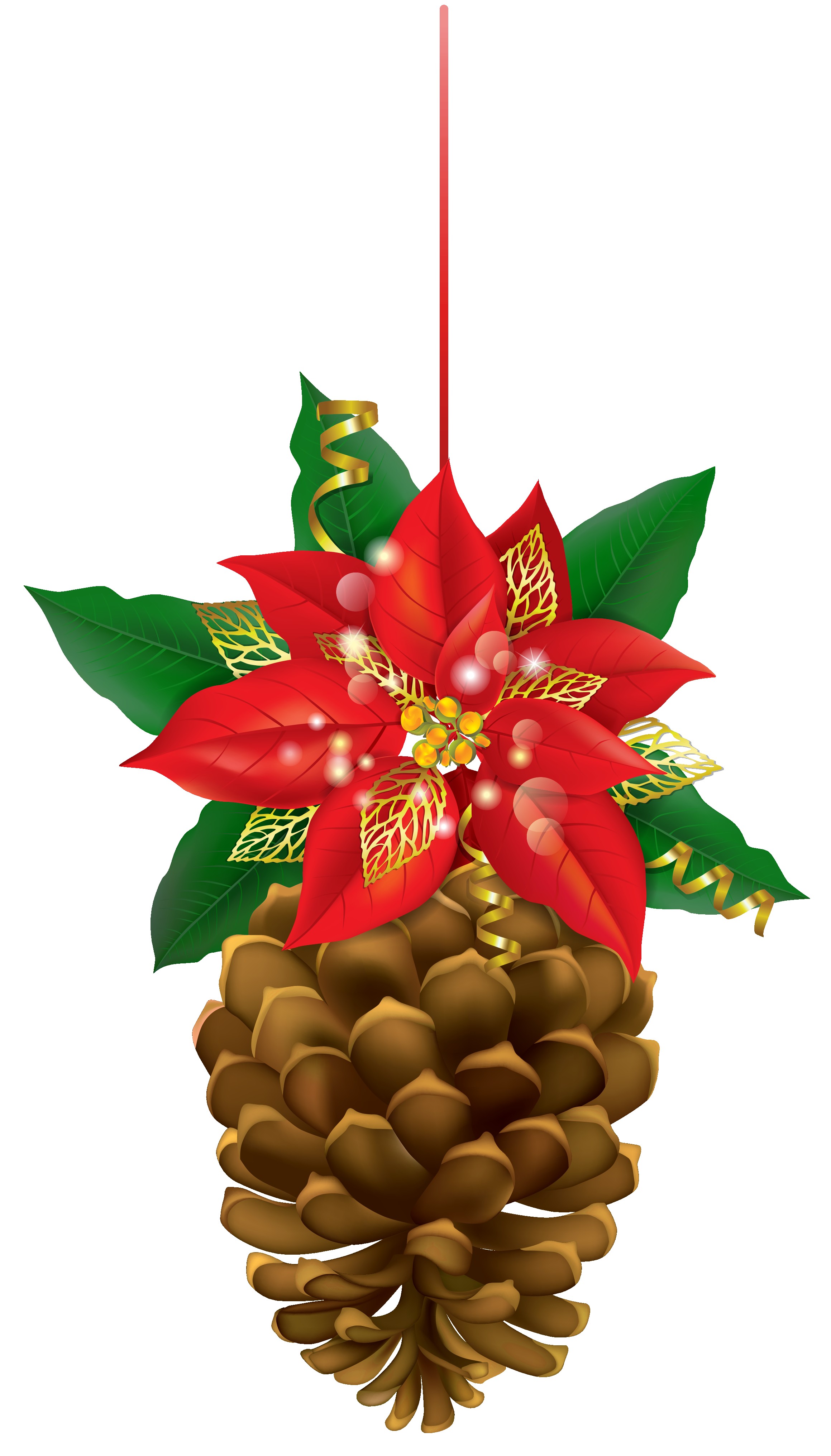 2319x4064 Pine Cone Clip Art Clipart Best Tierra Este 4552