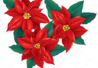 200x140 Poinsettia Pictures Free Christmas Png Clip Art Image Gallery