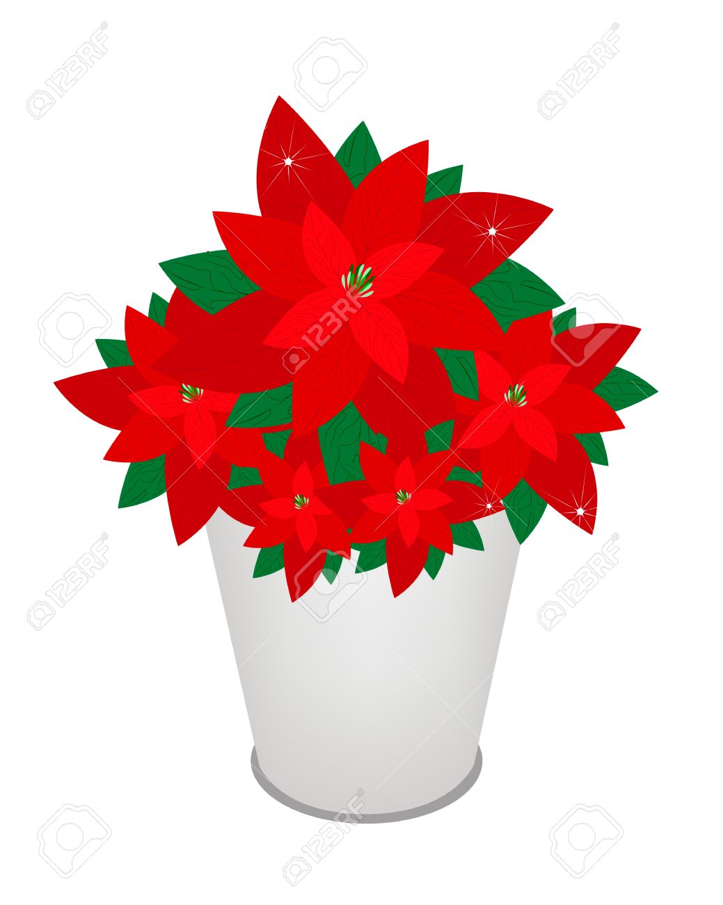 1039x1300 Poinsettia Clipart Garden