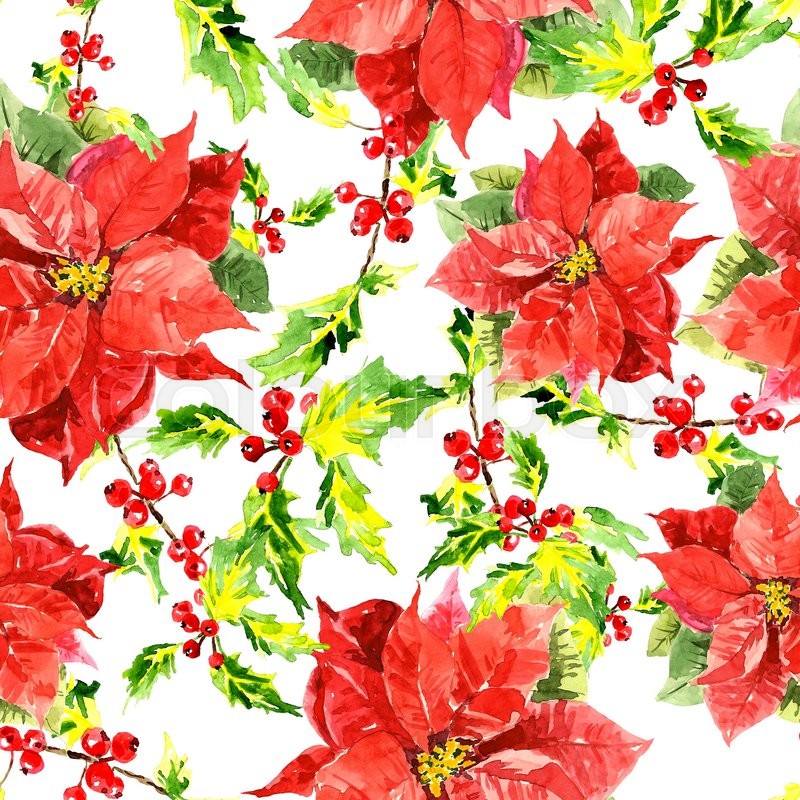 800x800 Poinsettia Clipart Invitation