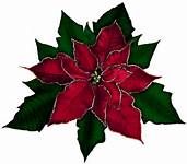 171x150 Red Christmas Poinsettia School Holidays Clipart Amp Borders