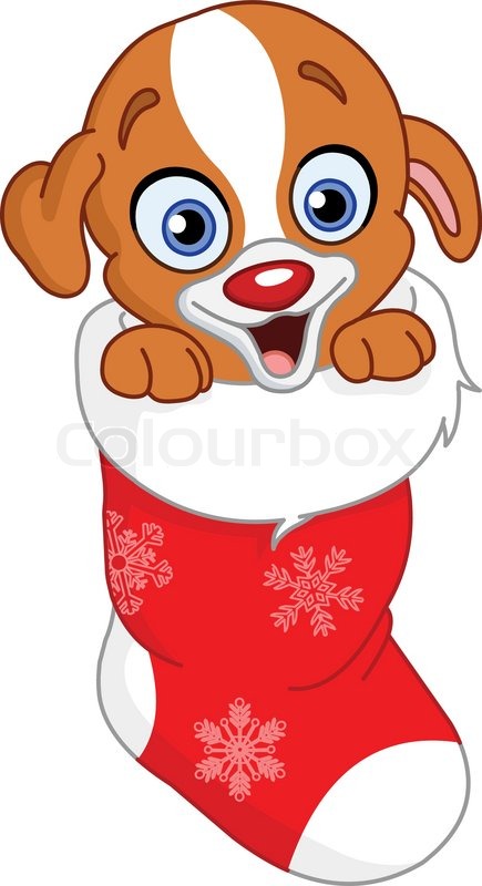 435x800 Cute Puppy In Christmas Sock Stock Vector Colourbox