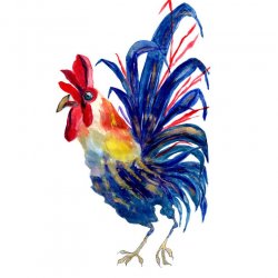 250x250 Christmas Wreaths Clip Art By Lecoqdesi Design Bundles