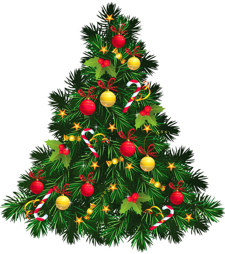 736x830 Pretty Christmas Tree Pictures
