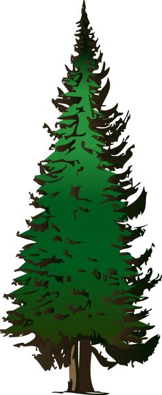 236x575 Bare Tree Clipart