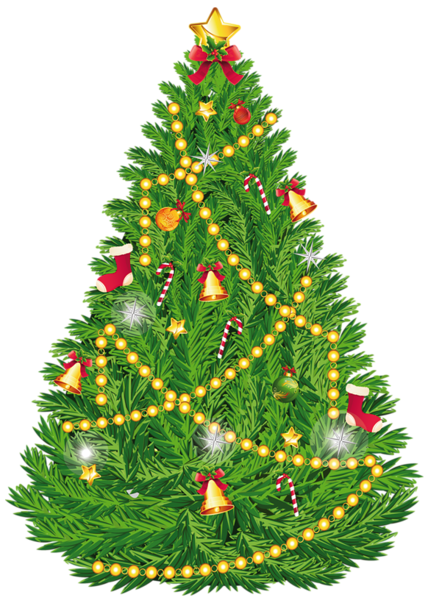 428x600 Transparent Christmas Tree Clipart Png Picture Christmas