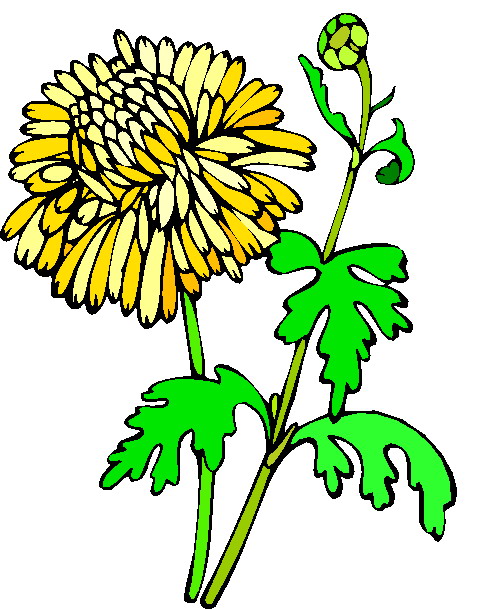 490x609 Flowers Clip Art Flowers And Plants