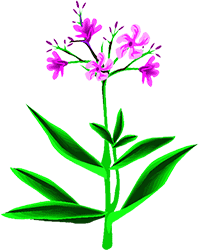 199x250 Free Flower Clipart