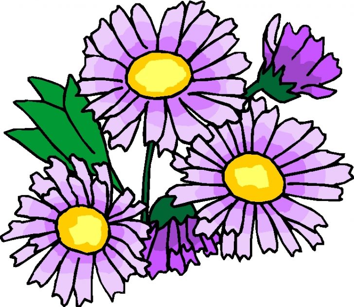 728x631 Mum Flower Clipart Free