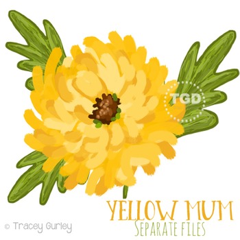 350x350 Paint Clipart Teaching Resources Teachers Pay Teachers