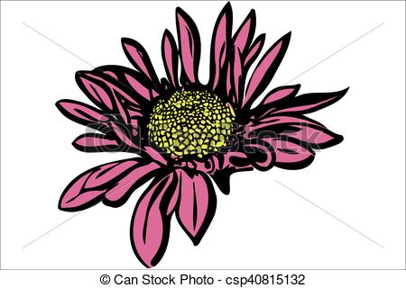 450x320 Vector Image Of A Beautiful Autumn Flower Chrysanthemum Vectors
