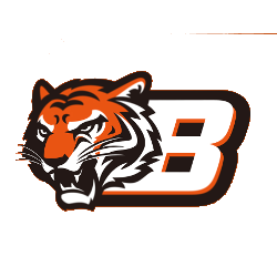 250x250 Cincinnati Bengals Concept Logo Sports Logo History