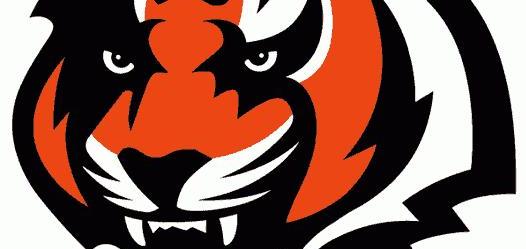 526x249 Cincinnati Bengals Rookie John Ross Placed On Ir