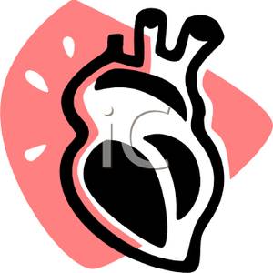 300x300 A Human Heart Clip Art Image