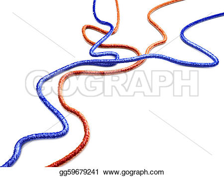 450x357 Arteries Clipart