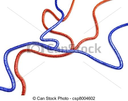450x357 Veins Clipart