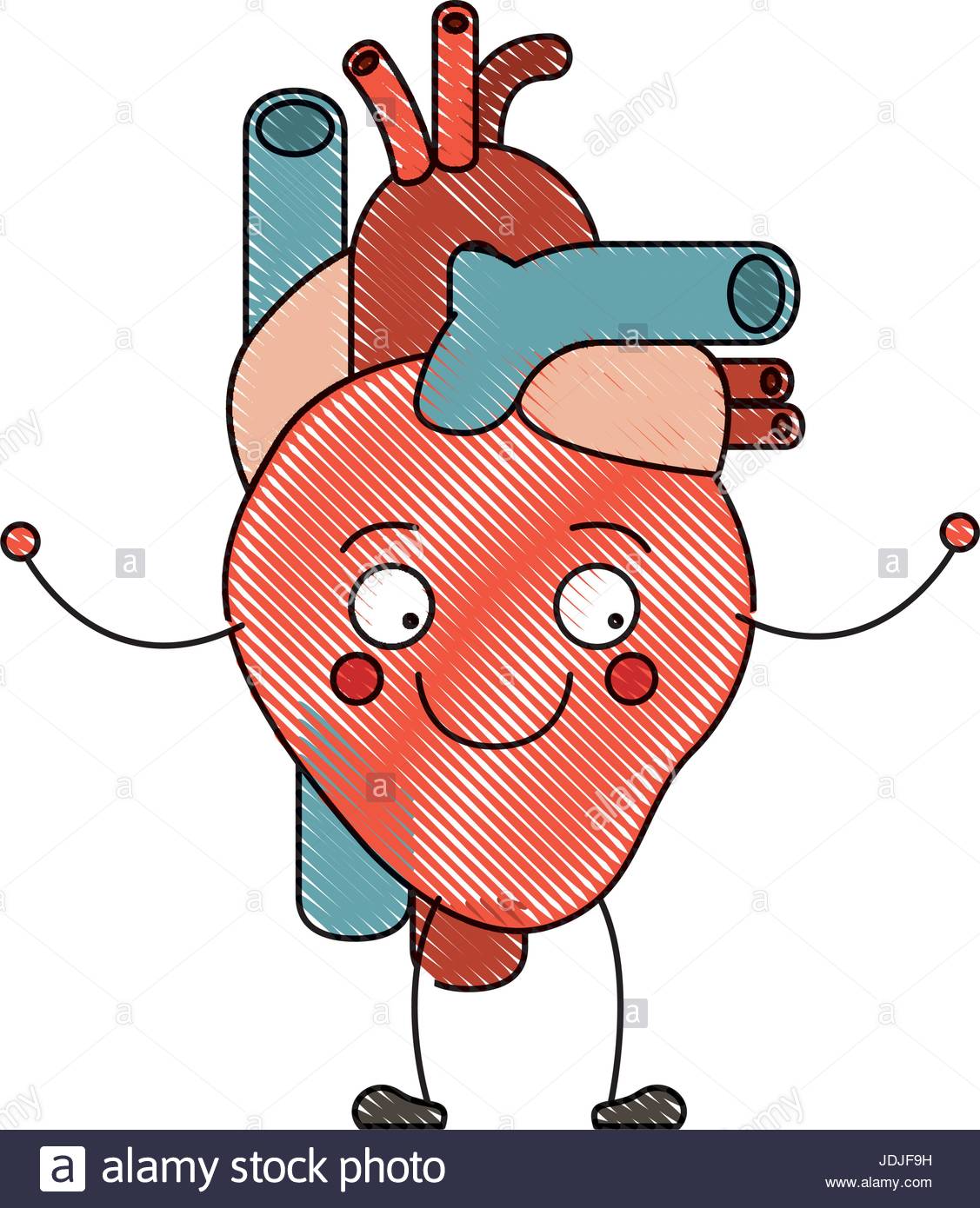 1127x1390 Color Crayon Silhouette Caricature Circulatory System With Heart