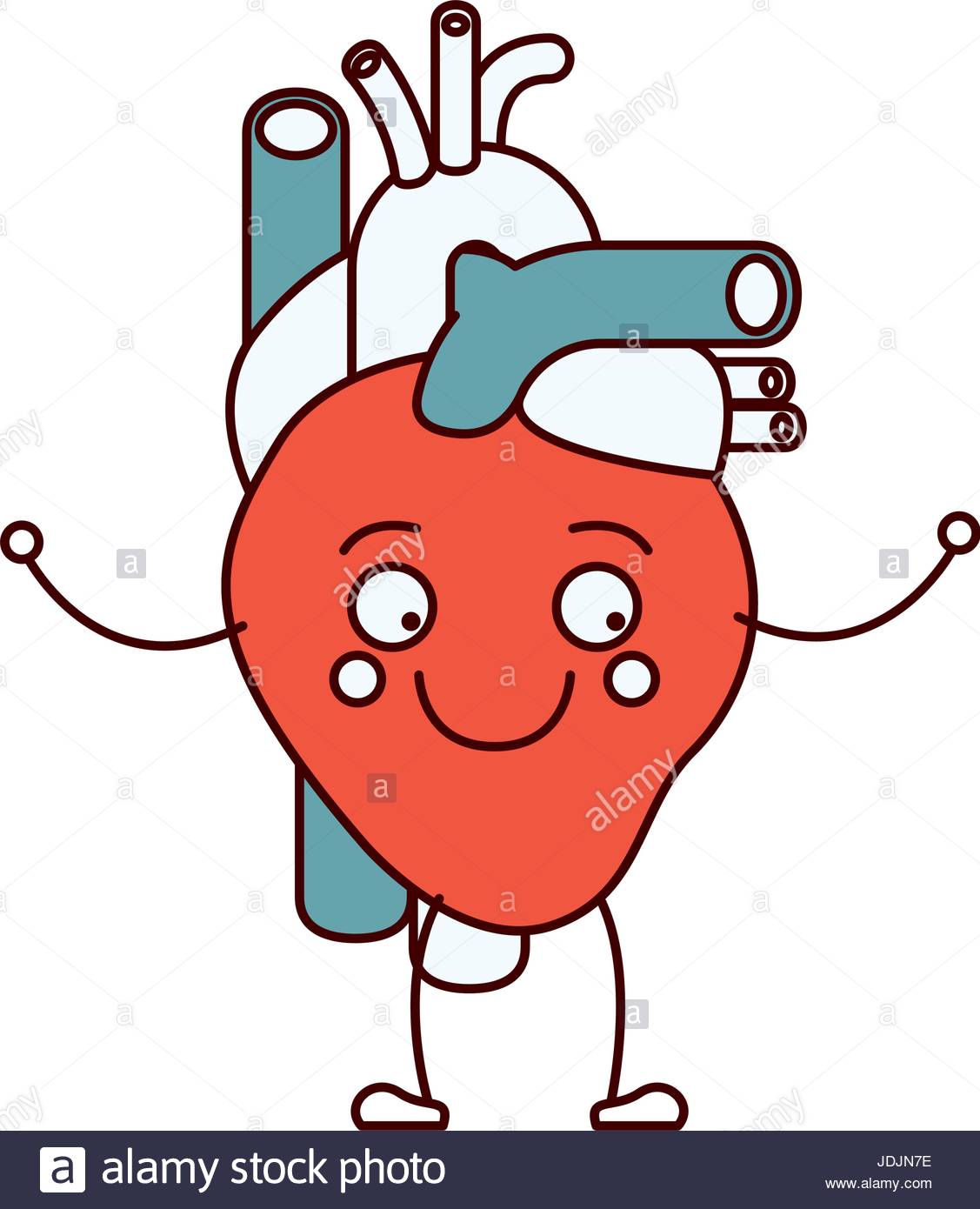 1127x1390 Color Sections Silhouette Caricature Circulatory System With Heart