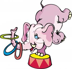 300x284 A Circus Elephant Performing Tricks