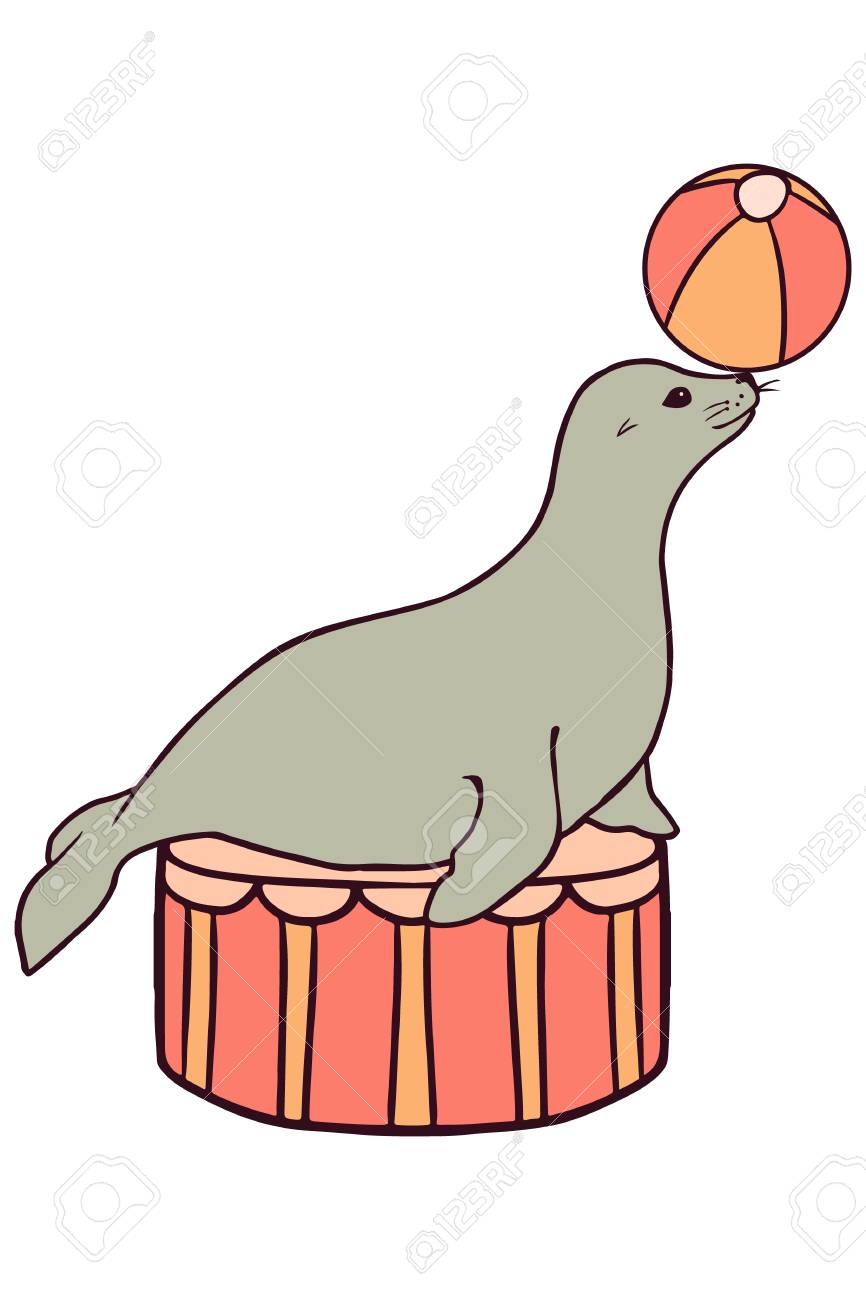 866x1300 Sea Lion Clipart Circus Acts