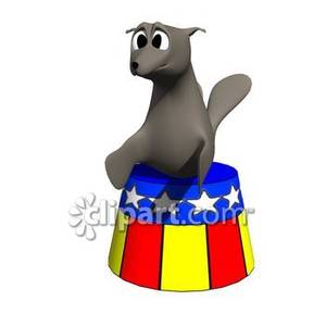 300x300 Cartoon Circus Seal