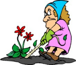 250x215 Garden Clean Up Clipart