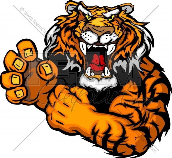 590x543 Clemson Tigers Mascot Clipart