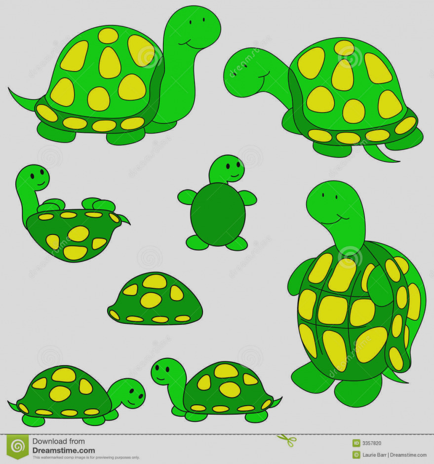 879x940 Awesome Clip Art Turtle Pictures Clipart Panda Free Images