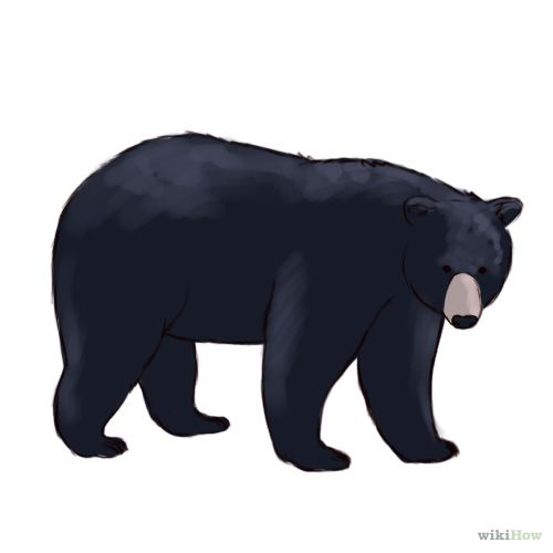 500x500 Free Clipart Black Bear