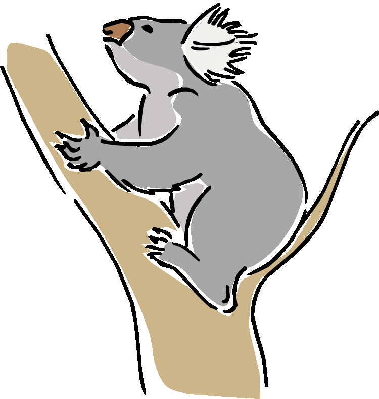 750x788 Top 90 Koala Clip Art