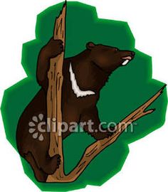 236x270 Bear Clip Art Images