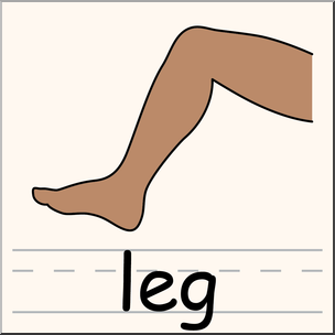 304x304 Clip Art Parts Of The Body Leg Color I Abcteach