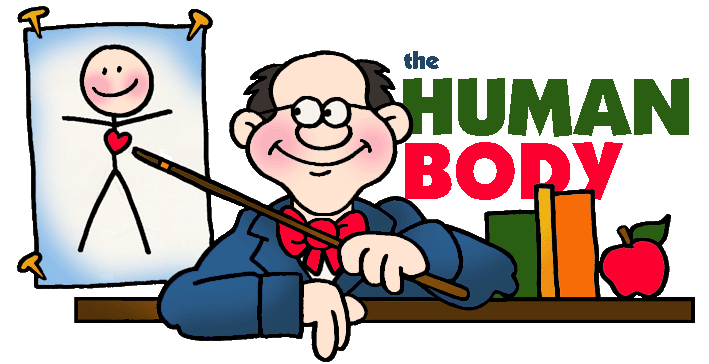 709x364 The Human Body Clipart